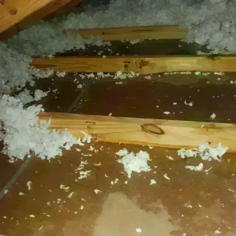 Attic Water Damage in Fountainebleau, FL