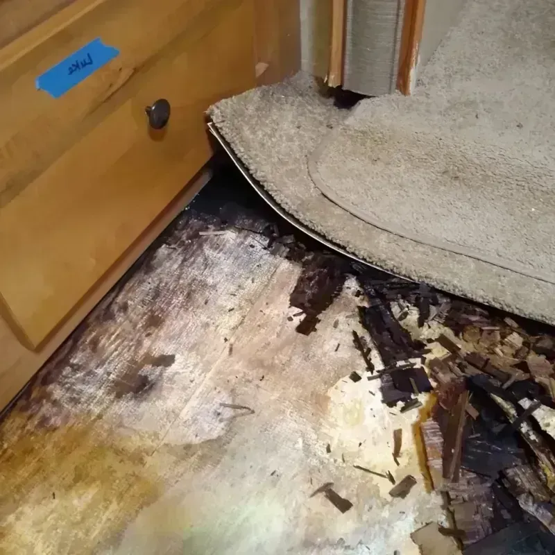 Best Wood Floor Water Damage Service in Fountainebleau, FL